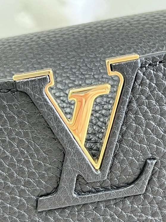 Official oldcobbler VUITTON CAPUCINES LOUIS BB 0717